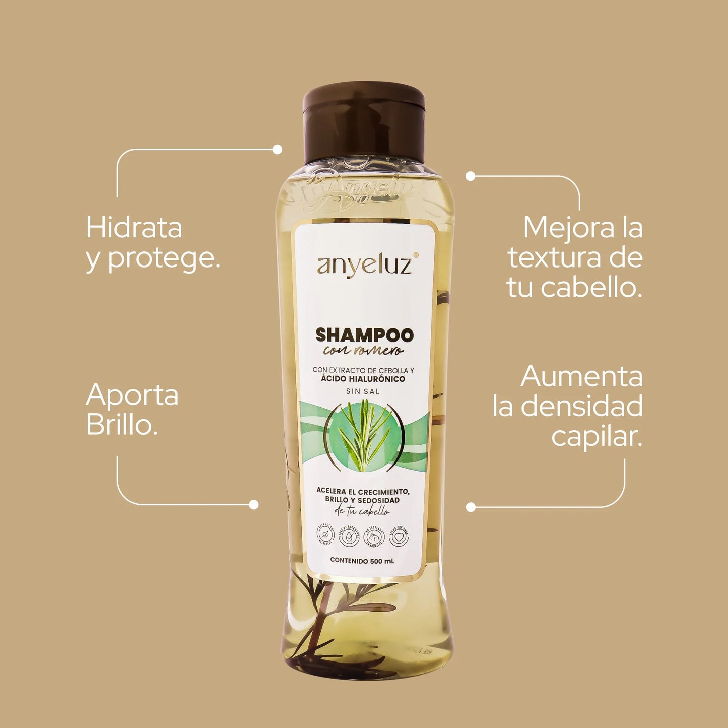 Shampoo Con Romero Anyeluz